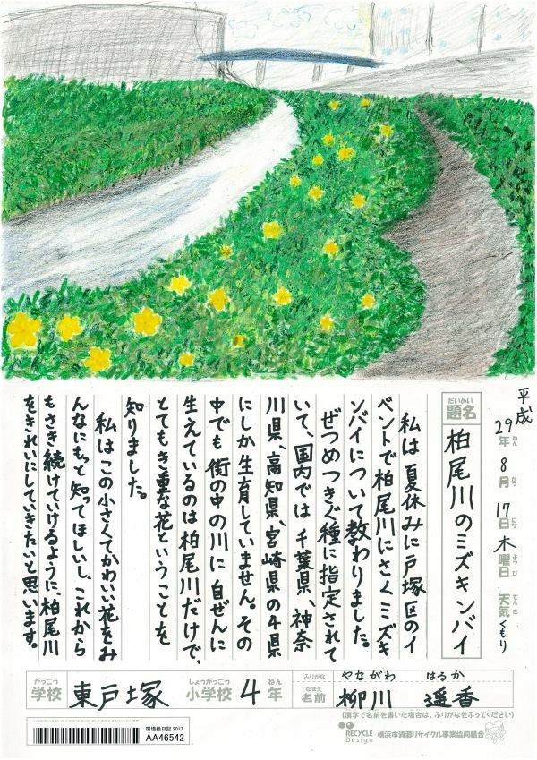 大川印刷 環境絵日記 地域企業賞 東戸塚小学校4年の生徒さんが受賞